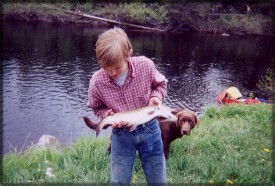trout